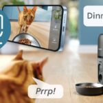 DISTRIBUZIONE FOOD SECCO CON WEBCAM PHILIPS PAW5320/02 4.5 CANE GATTO