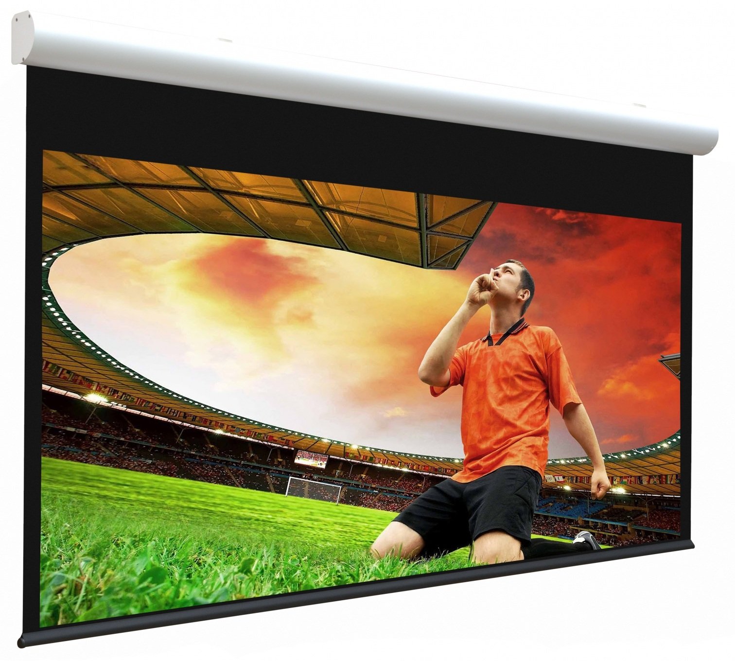 PRV81147_1.jpg TELO PROVIS 210X118 PROVIS MOTORIZZ 16:9 - immagine 1