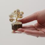 Small Gomati Chakra Circle Stone Trees-(15 stones) - immagine 4