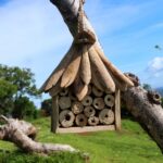Driftwood Bee & Insect Box - immagine 4