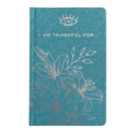 Blue Gratitude Journal with Silver Lining - 120 pages - I am Thankful For - immagine 4