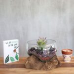 Molten Glass on Wood - Open Lrg Bowl - immagine 4