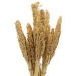 Cantal Grass Bunch - Natural - immagine 10