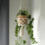 Macrame Pot Holder - Single Small Pot - immagine 2