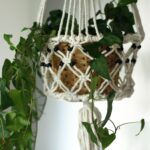 Macrame Pot Holder - Lrg Single Beaded - immagine 7