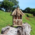 Driftwood Bee & Insect Double Box - immagine 2