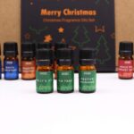 Festive Delights Fragrance Set - immagine 5