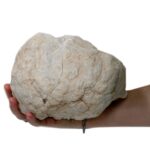 Calcite Geodes - 15-18 cm - immagine 5