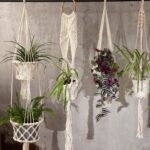Macrame Pot Holder - Double Holder - immagine 8