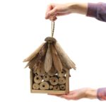 Driftwood Bee & Insect Box - immagine 2