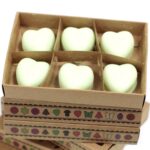 Gift Set of 6 Wax Melts  - Watermelon Fresh - immagine 3