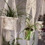 Macrame Pot Holder - Single Small Pot - immagine 8