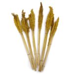 Cantal Grass Bunch - Amber - immagine 3