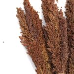 Cantal Grass Bunch - Chocolate - immagine 5