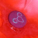 Set of Zodiac Bath Fizzers with Horoscope -  Aries - immagine 4