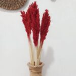 Cantal Grass Bunch - Fire - immagine 2