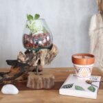 Molten Glass on Wood with Stand - Medium Bowl - immagine 5