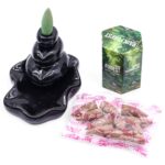 Masala Backflow Incense pack of 10 - Rain Forest - immagine 3