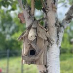 Driftwood Birdbox - Wallhanging - immagine 4