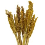 Cantal Grass Bunch - Amber - immagine 2