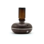 Mini Single Waterless Oil Nebulizer - USB to C - movement dectector