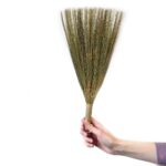 Set 4 - Pampas Fan Broom - Natural mixed sizes - immagine 5
