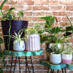 Set of 3 Gamell Wood Plant Stands - Greenwash - immagine 4