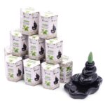 Masala Backflow Incense pack of 10 - Jasmine - immagine 5
