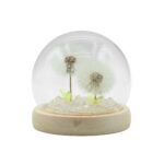 Floral Glow Garden Dome - 2 Dandelions - LED USB - immagine 3