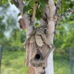 Driftwood Birdbox - Wallhanging - immagine 5