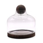 Ex-Large Ball Top Terarium on Dark Tung Wood - 23x23cm - immagine 2