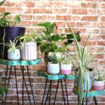 Set of 3 Gamell Wood Plant Stands - Greenwash - immagine 5