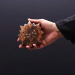 Engraved and Brass Zodiac Sign Incense Burners - Sun - immagine 15