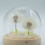 Floral Glow Garden Dome - 2 Dandelions - LED USB - immagine 4