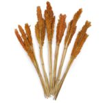 Cantal Grass Bunch - Orange - immagine 3