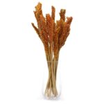 Cantal Grass Bunch - Orange - immagine 4