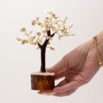 Lrg Gomati Chakra Circle Stone Trees - (60 stones) - immagine 3