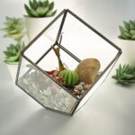 Glass Terrarium - Cube on Corner - immagine 5