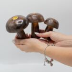 Set of 3 Incense Cone Mushrooms ((10cm 9cm 8cm) - immagine 3