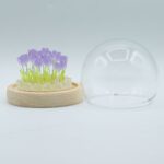 Floral Glow Garden Dome - 20 Tulips - LED USB - immagine 2