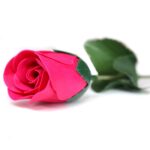 Ready to Retail Soap Flower - Small Red Rose - immagine 3