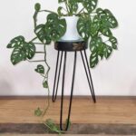 Albasia Wood Plant Stand - Turquoise & gold detail - immagine 4