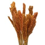 Cantal Grass Bunch - Orange - immagine 2