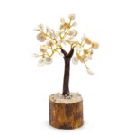 Med Gomati Chakra Circle Stone Trees - (45 stones)