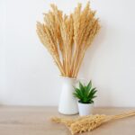 Cantal Grass Bunch - Natural - immagine 4