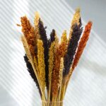 Cantal Grass Bunch - Orange - immagine 5