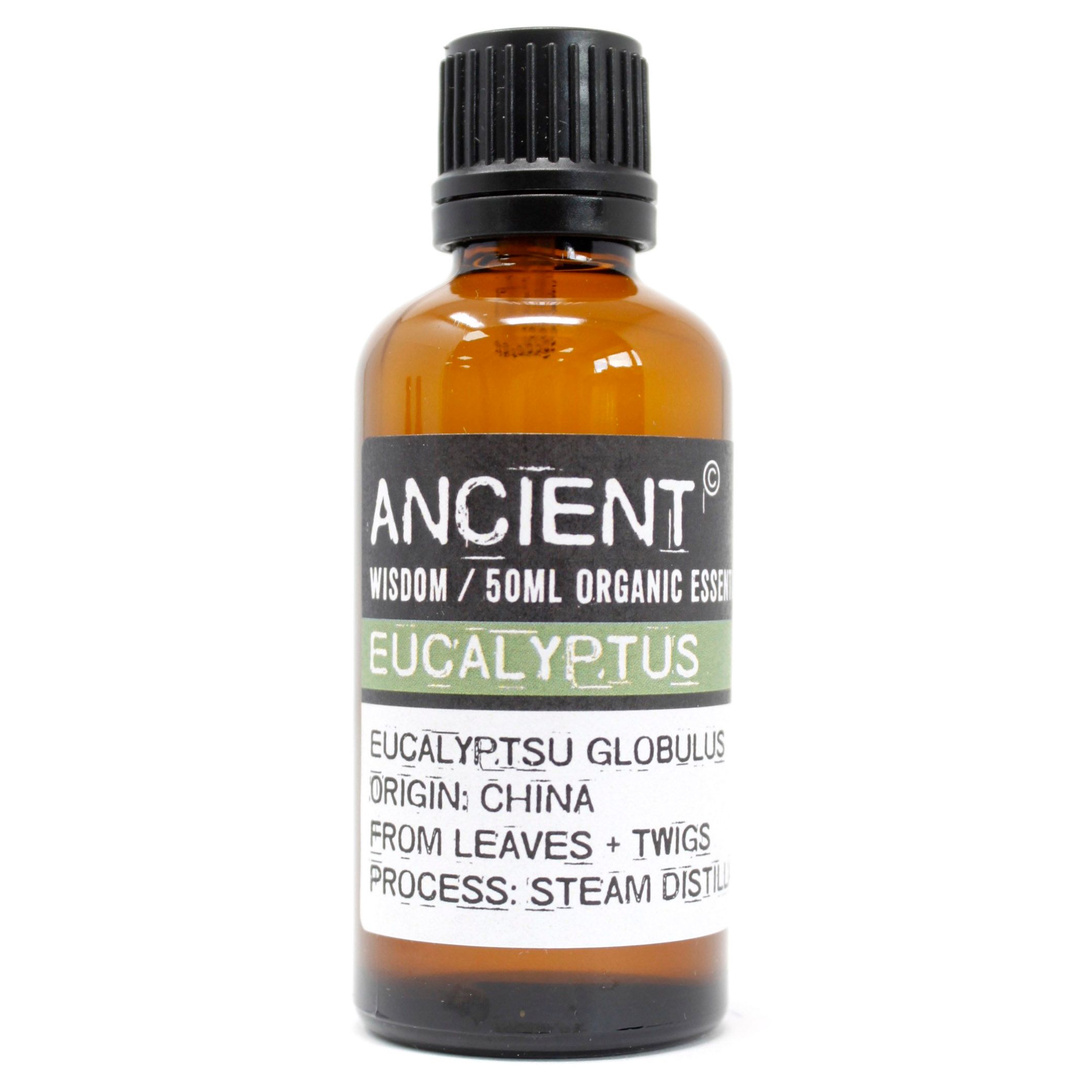 bG9jYWw6Ly9tZWRpYS8xSi80Qy82MFIzMEMxRzZDVks0QzFKLzc3ZGUyNmVmLmpwZWc.jpg Eucalyptus Organic Essential Oil 50ml - immagine 1