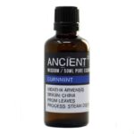 Cornmint 50ml Essential Oil