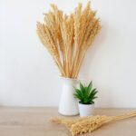 Cantal Grass Bunch - Natural - immagine 3