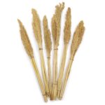 Cantal Grass Bunch - Natural - immagine 2